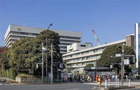 慶應義塾大学病院 菓子折り - なぜ病院でお菓子が重要なのか？