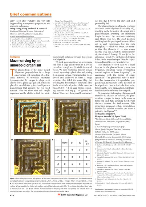  Reticulomyxa: Discover The Amoeboid Master of Miniature Maze Building!