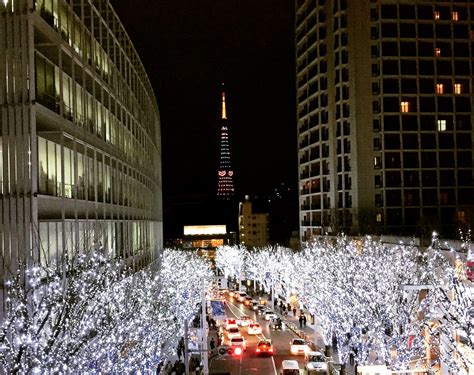 東京 イベント 2月：雪の街で見つける春の予感