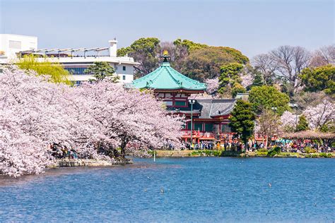 上野おすすめスポット：東京の文化と自然が融合する秘密の場所